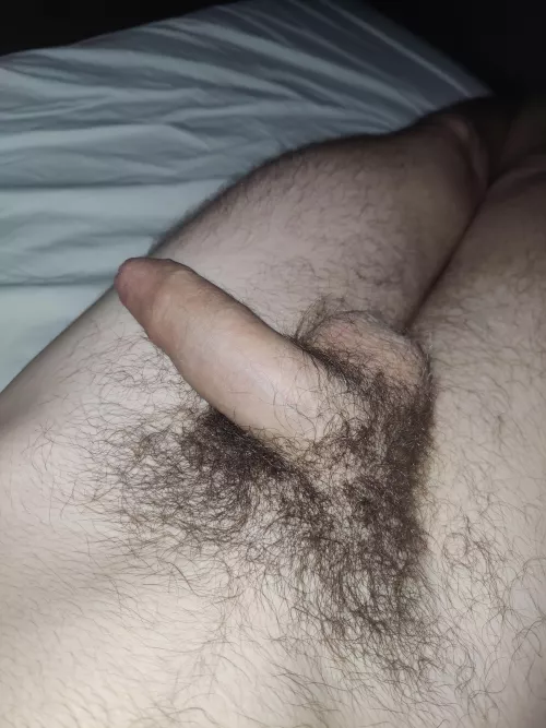 My Cock at Rest (5.50 inches or 14cm)