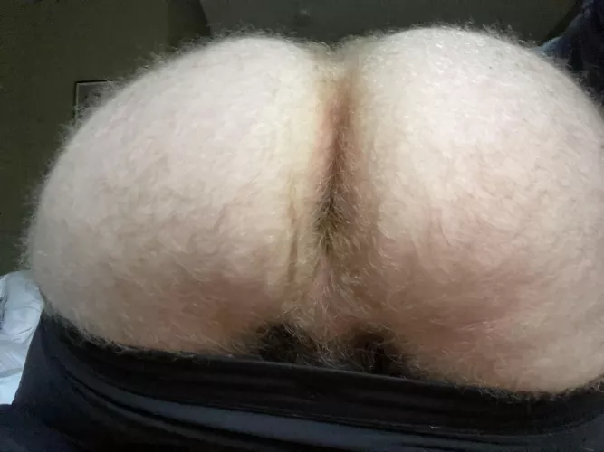 My hairy ass this morning