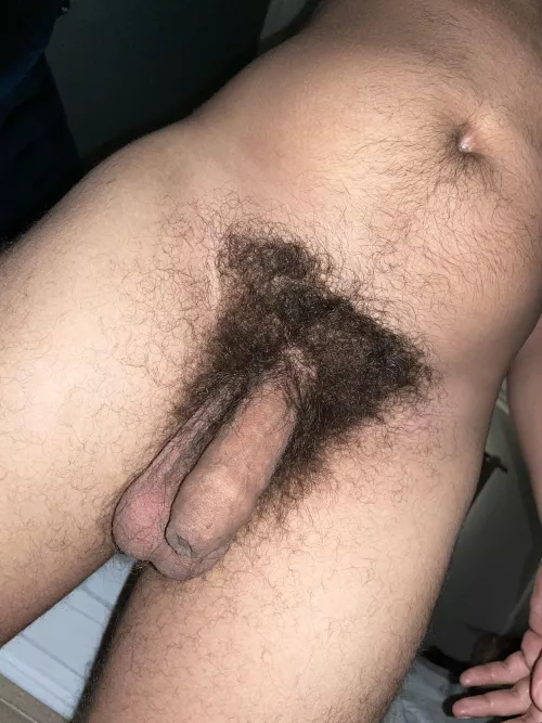 My hairy cock and smells like a man