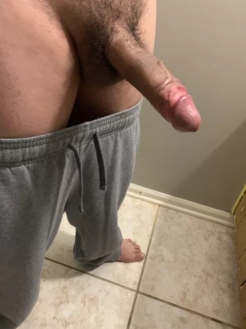 Need a trip to pound town?