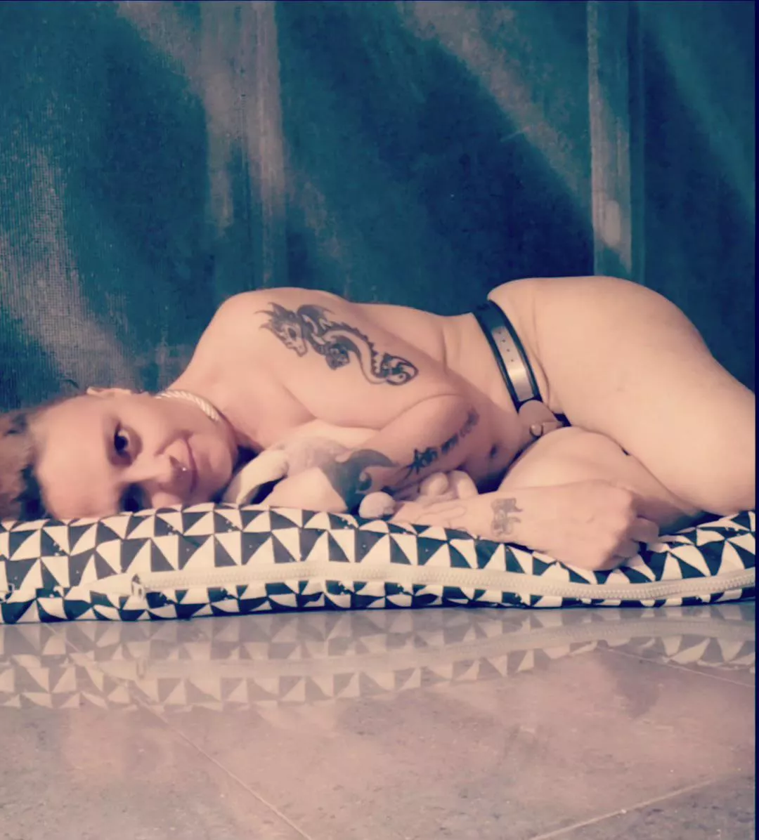 Resting like a good belted pet