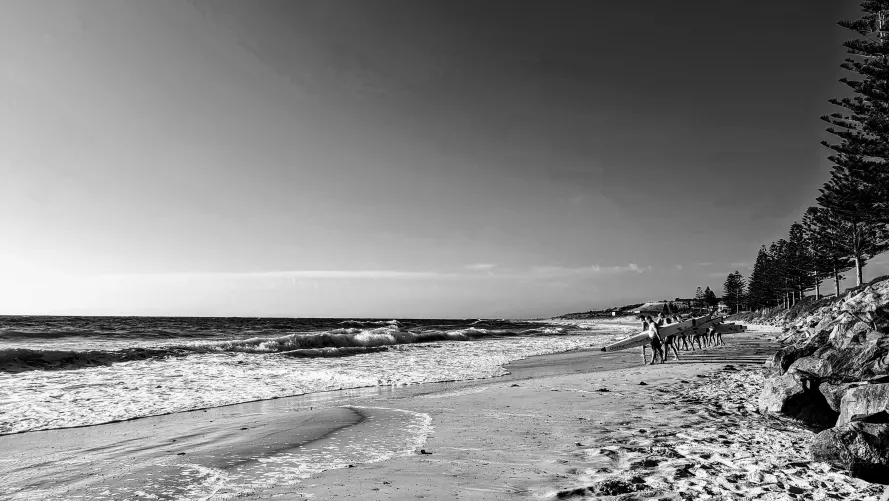 Surf Lifesaving Training