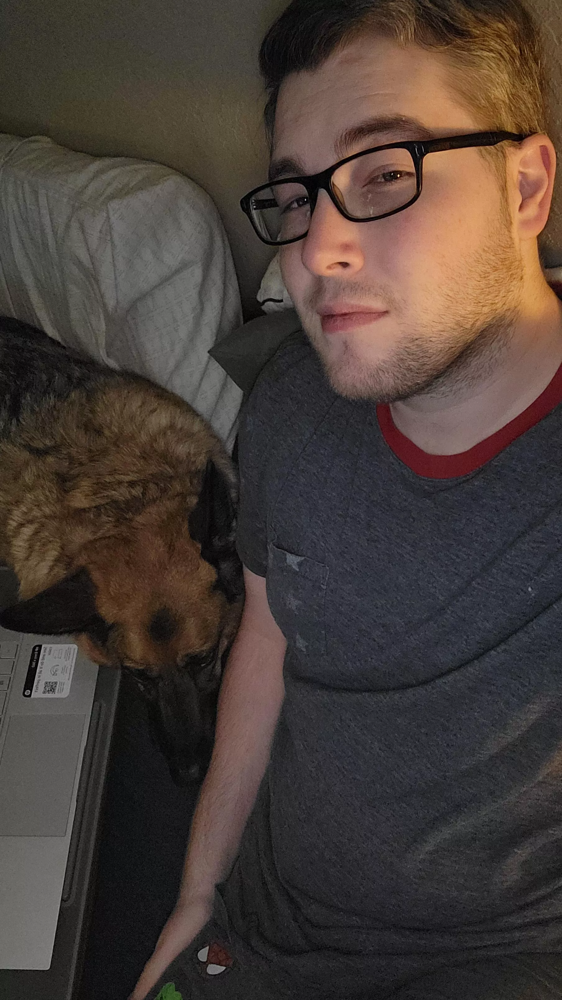 Trying to do some work and she wants cuddles... Anyone care to join? 