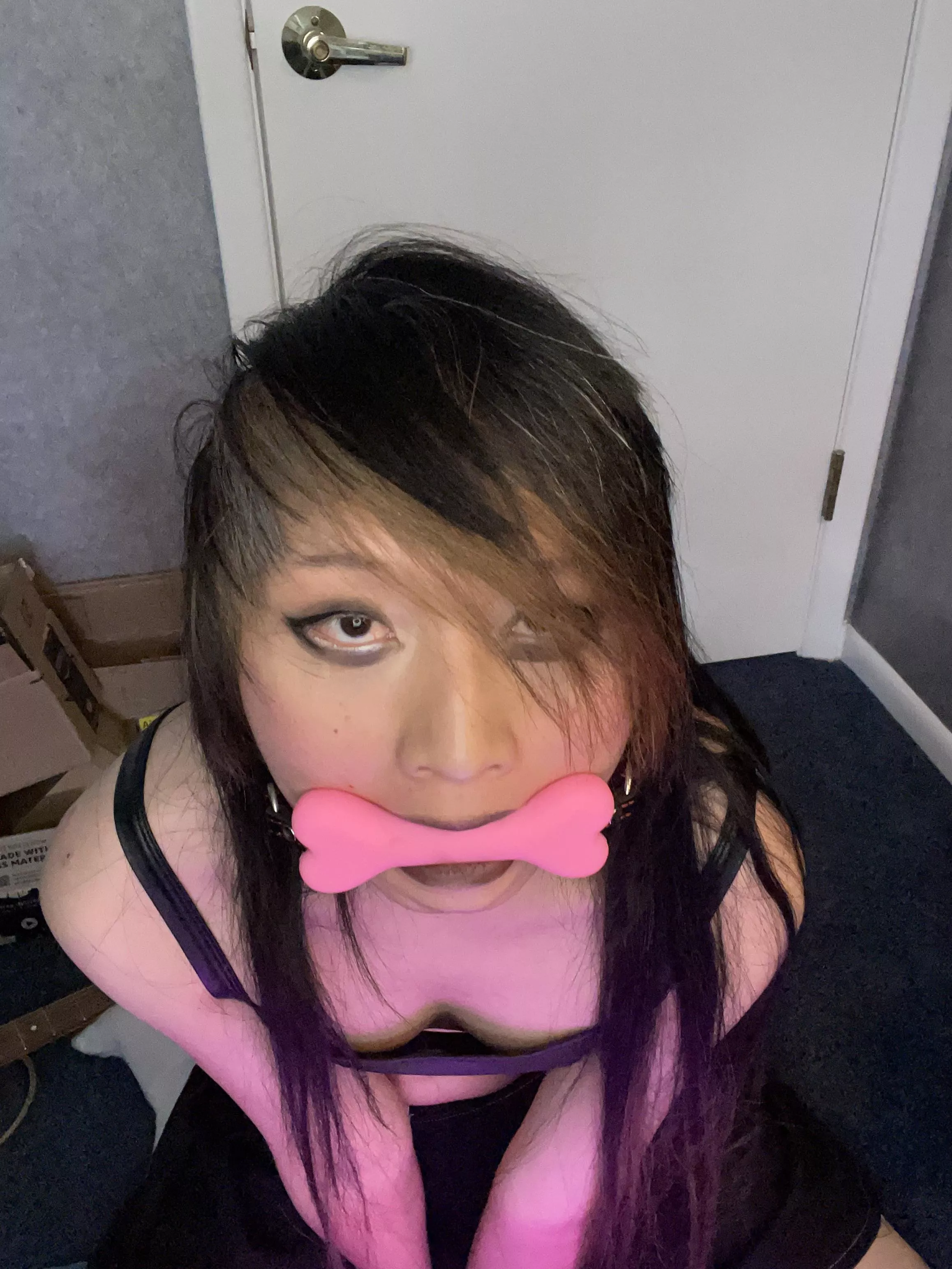 Weak Japanese rice slut, would anyone use