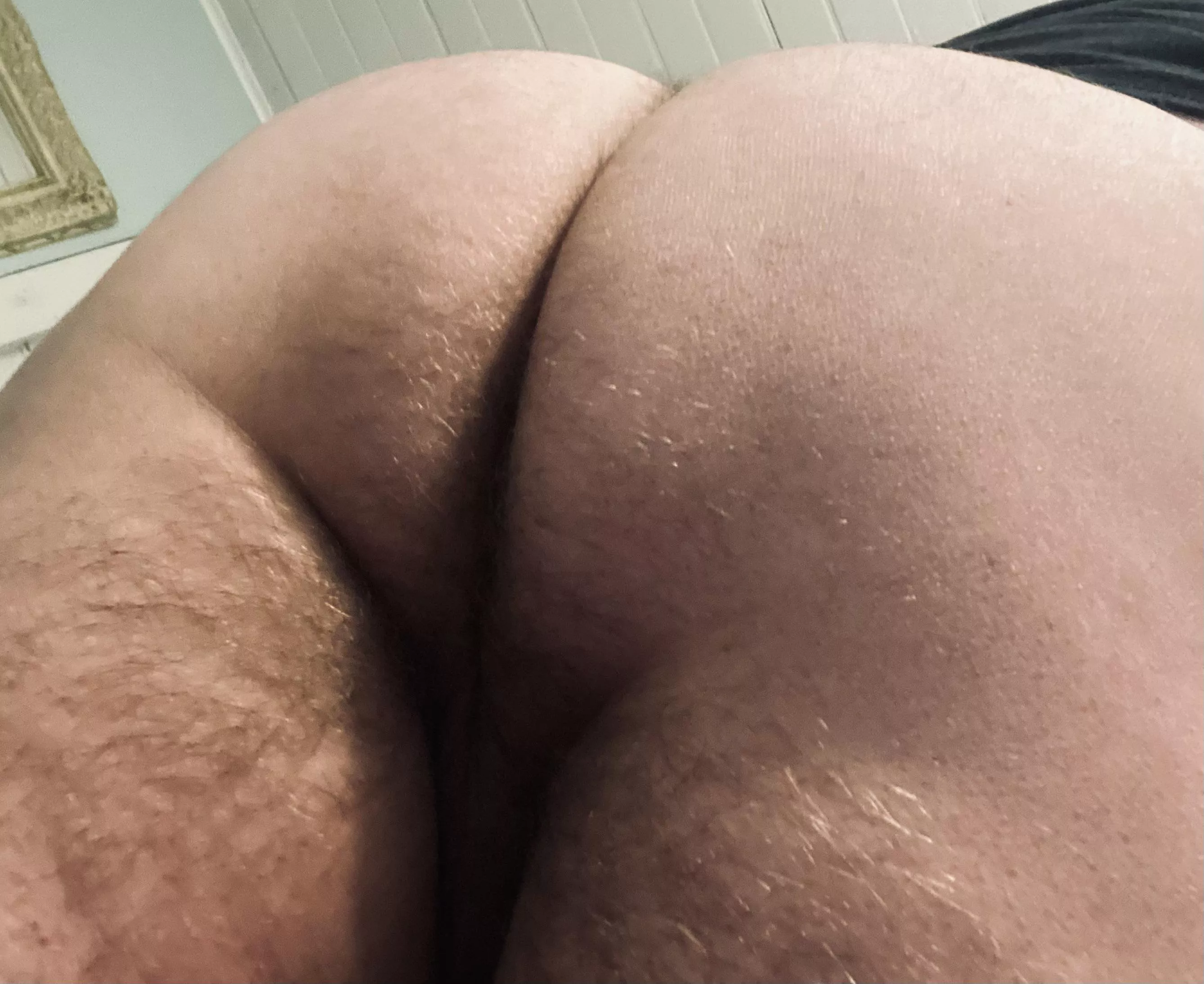 Who Wants My Fat Ass?
