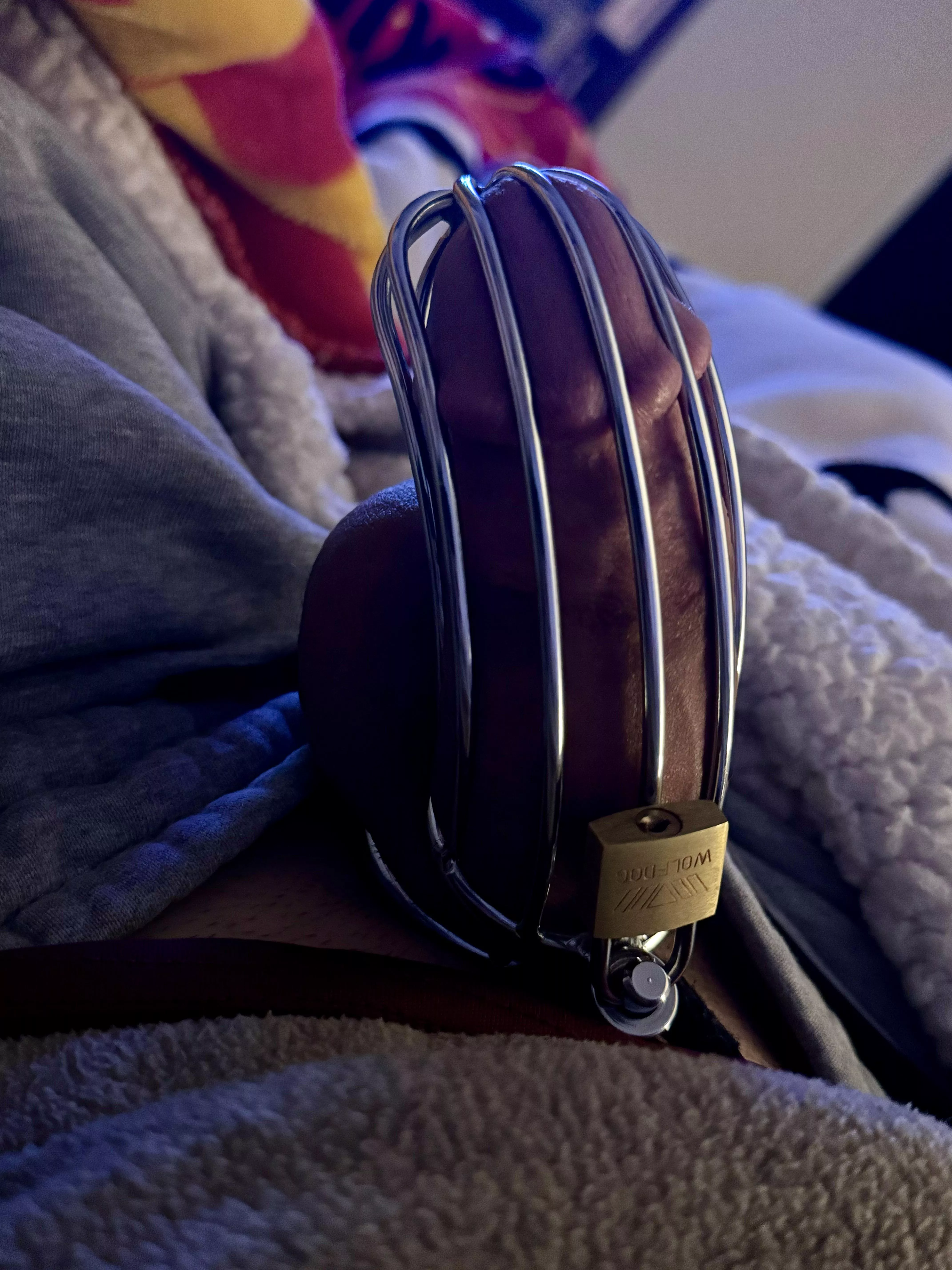 Wife locked me up for the week of my birthday (Monday)