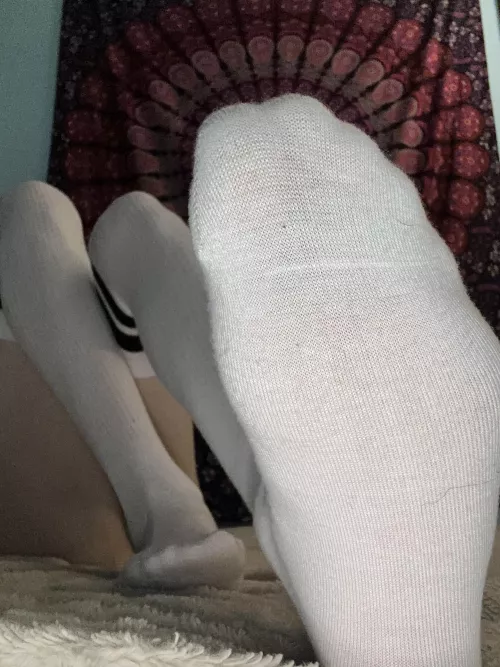 Worship my thigh highs [T]