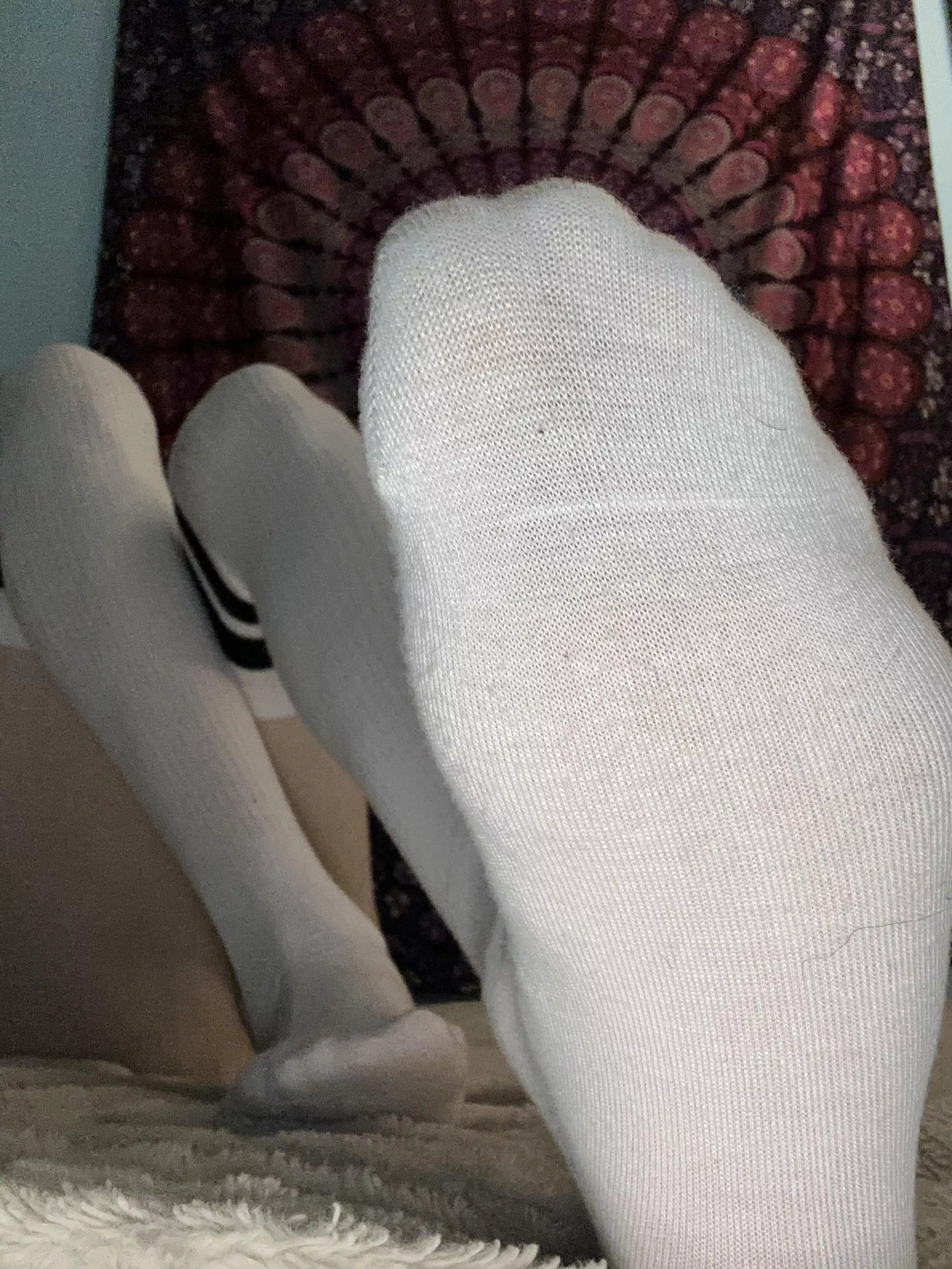Worship my thigh highs [T]