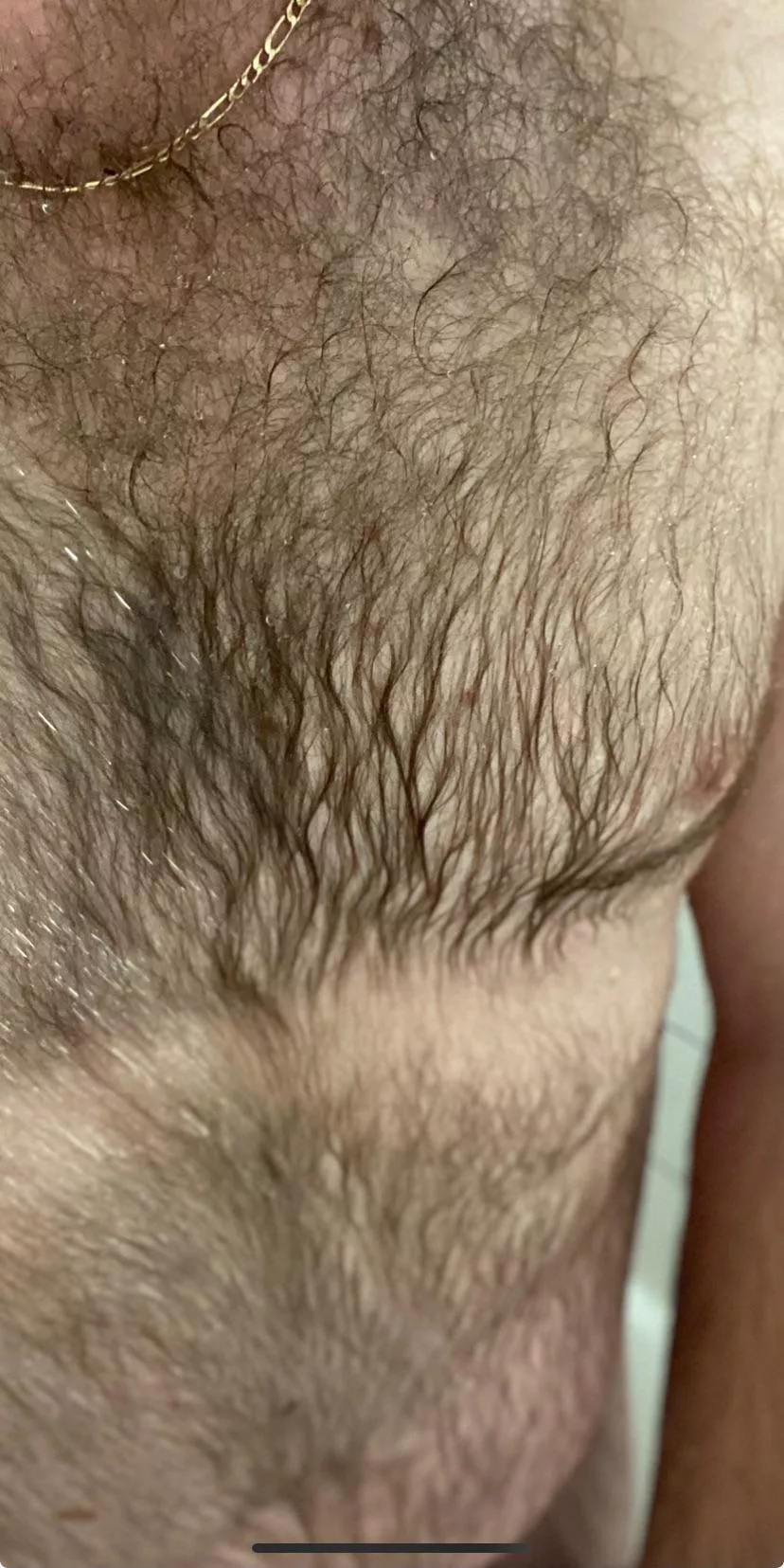 [33] a little more for imagination