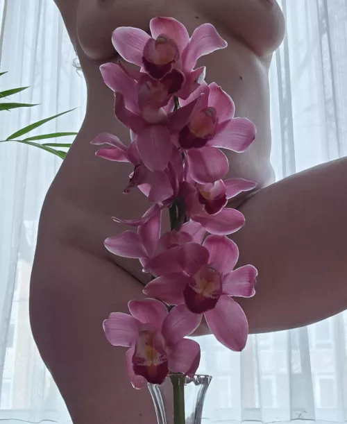 Aren't they beautiful? 