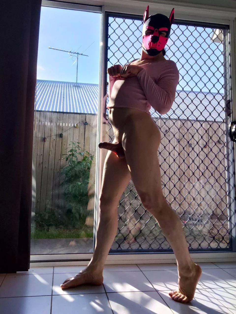 basking in the sunlight~ who wants to join me?