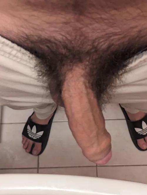casual pubes