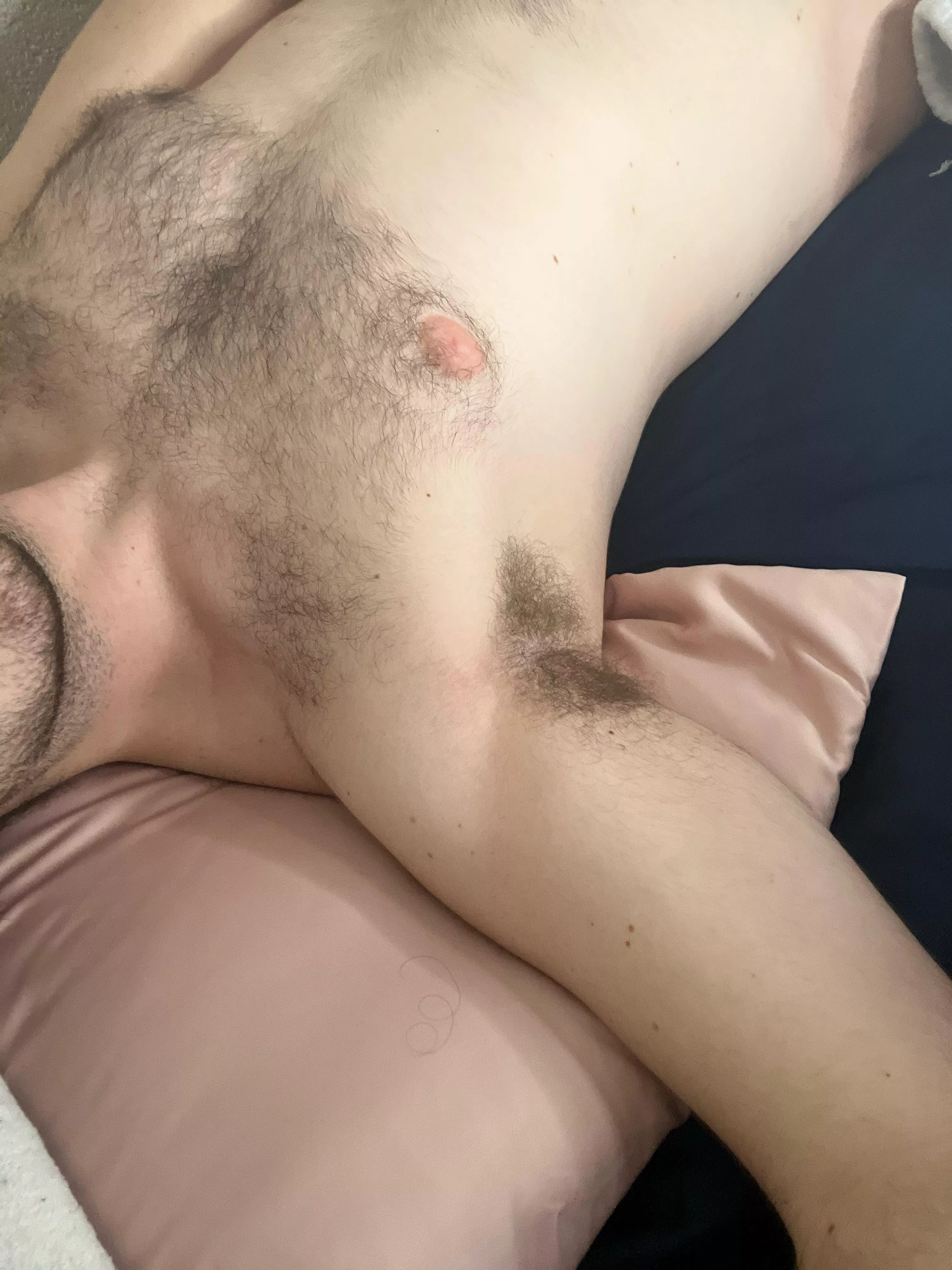 Come on boys, dinner time 