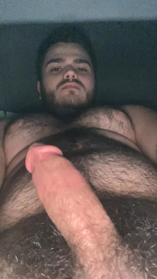 Cut and hairy bear cock