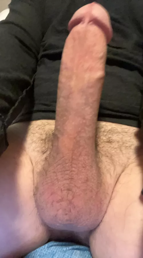 Daddy looking for a toilet whore