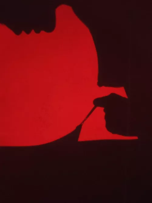 French noir (myself)