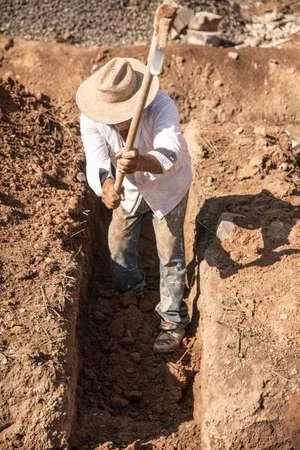 From the perfect life to a living nightmare