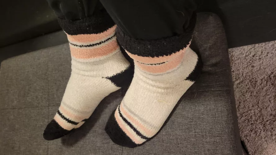 Fuzzys are my favorite 🥰