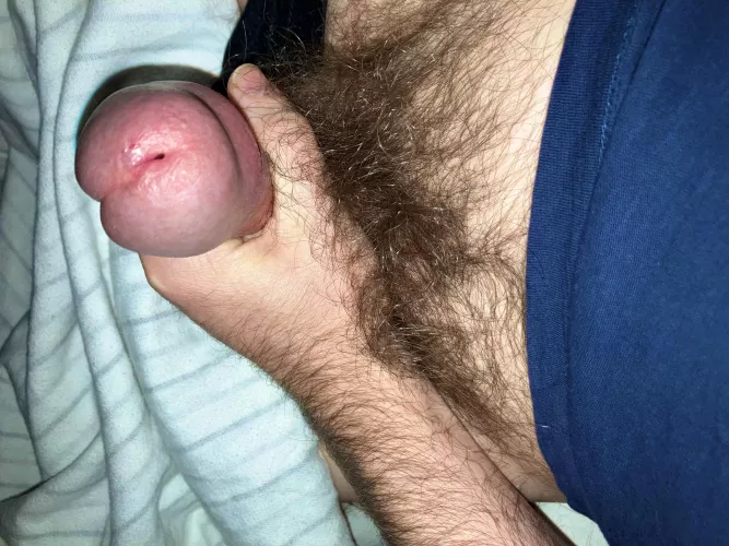 Hold on a sec while I pull my fat head from this pubes nest