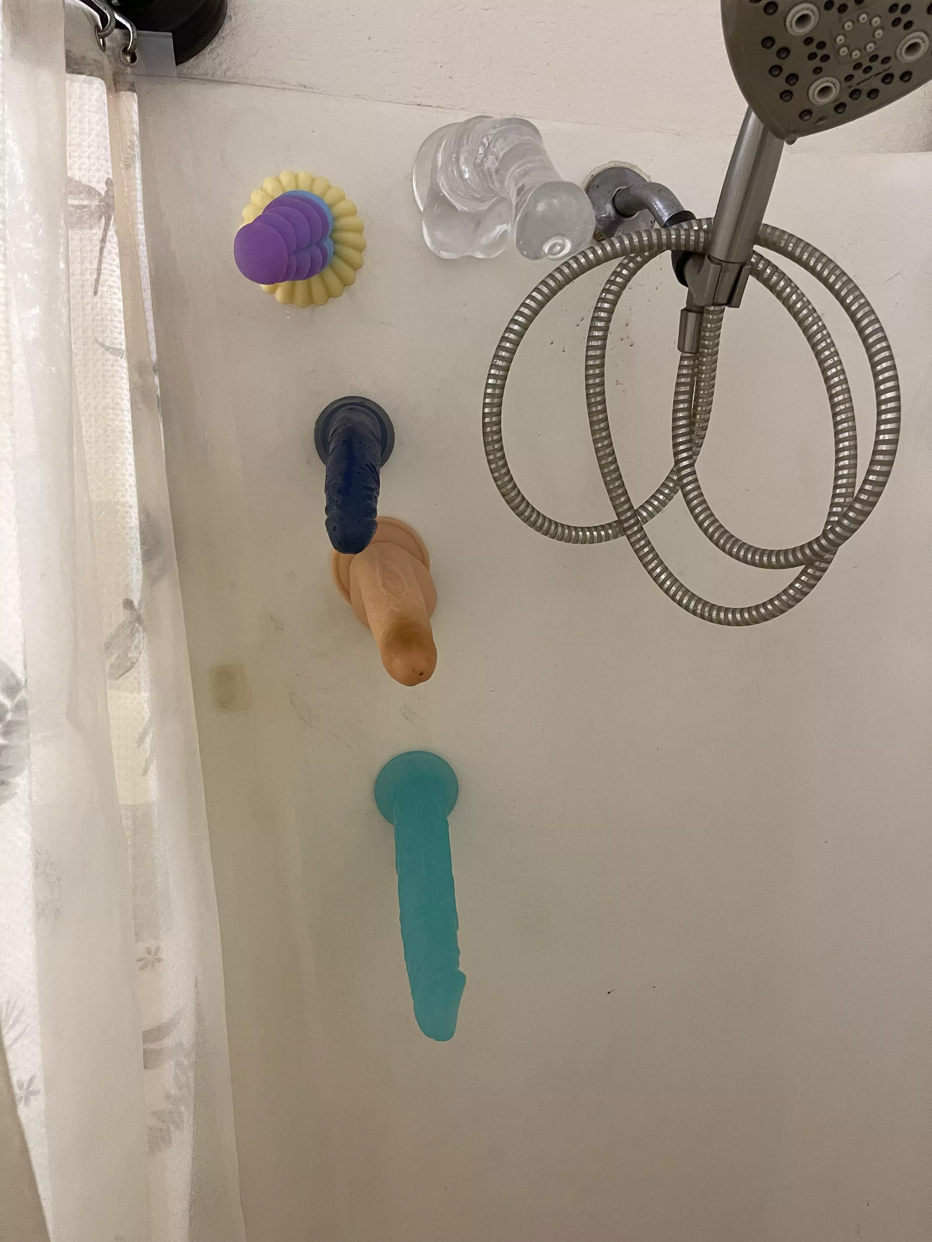 I just can’t choose, help?