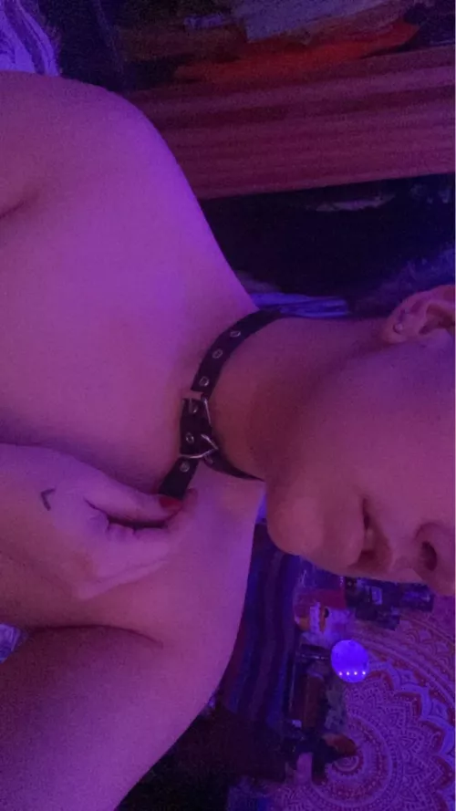 [OC] this pup wishes someone had a leash for him🥺 would someone walk me?👉🏻👈🏻