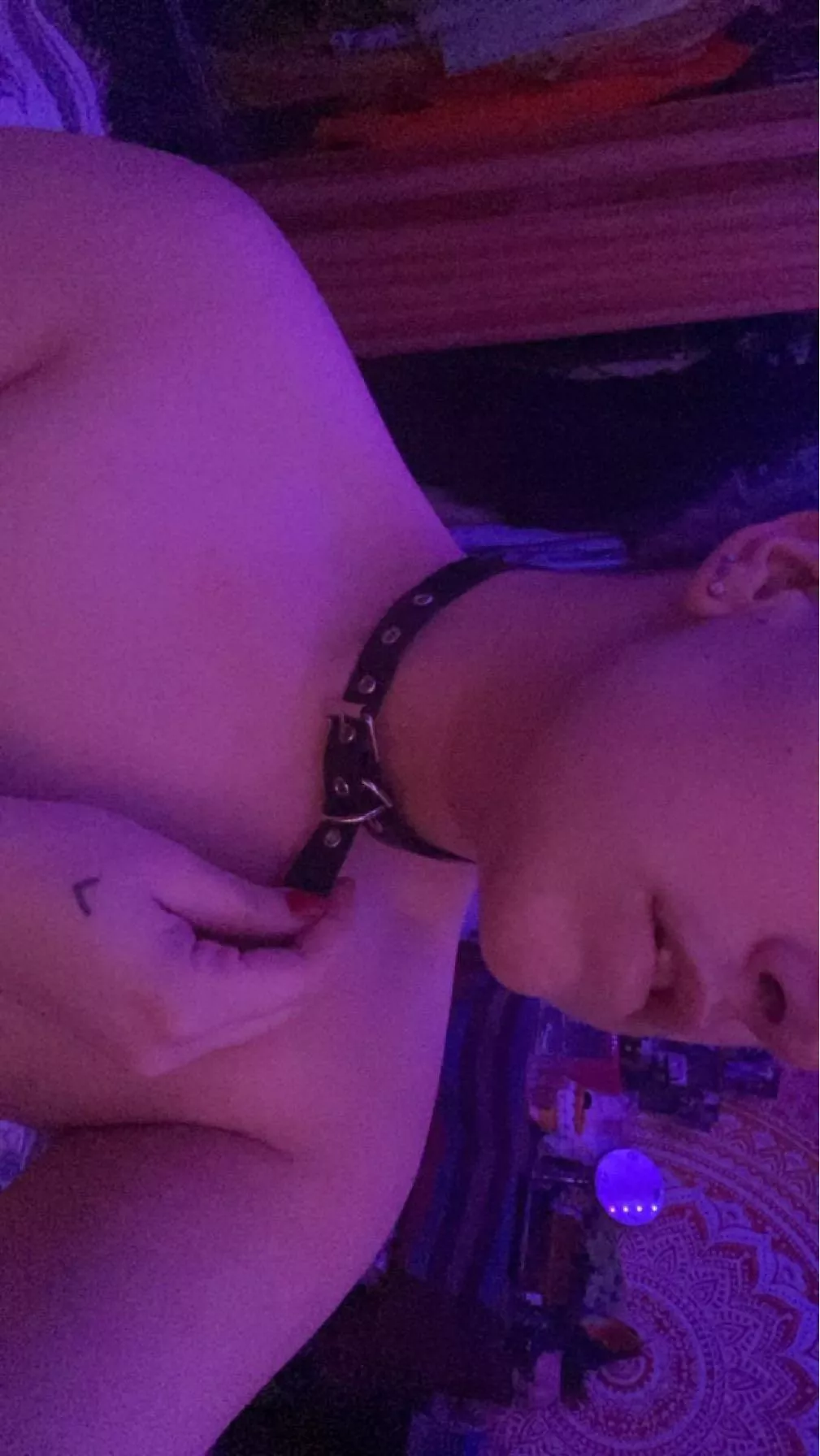 [OC] this pup wishes someone had a leash for him🥺 would someone walk me?👉🏻👈🏻