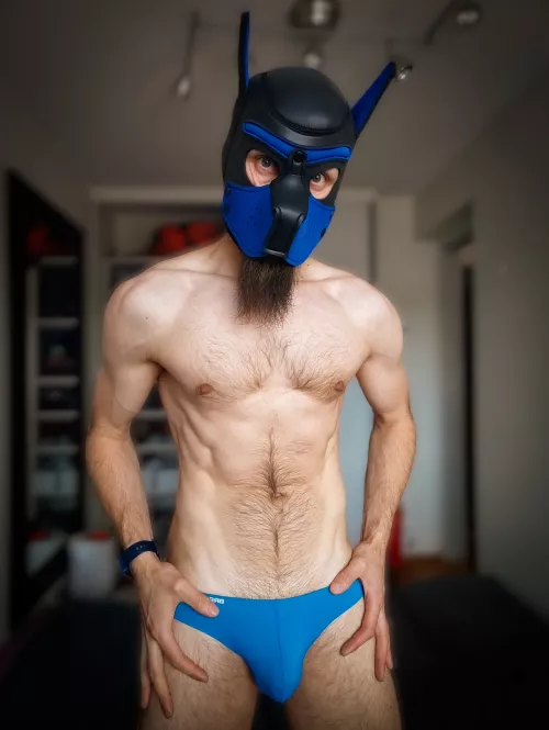 Pup in speedos 
