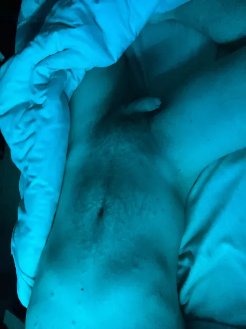 Soft morning everyone 