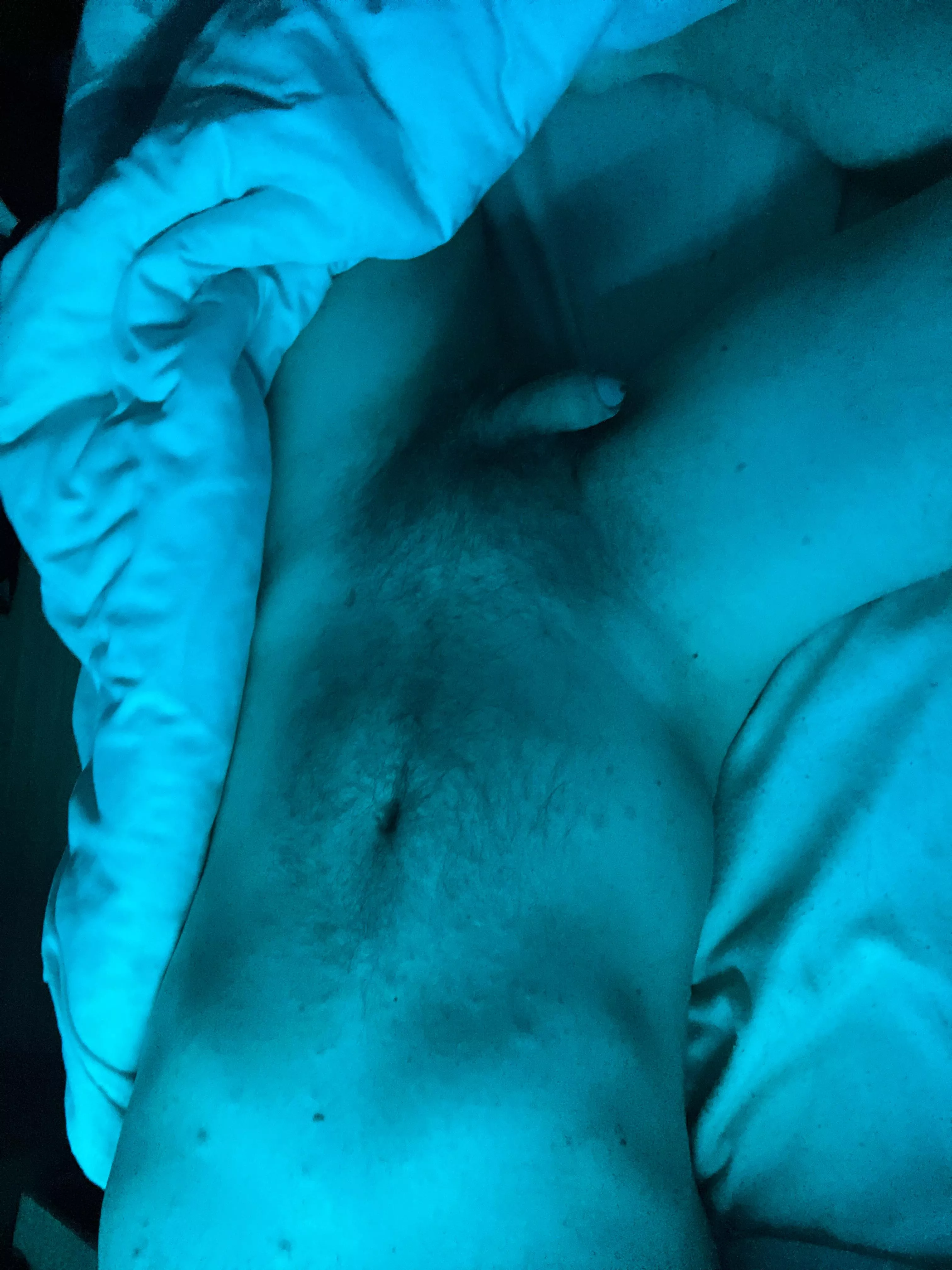 Soft morning everyone 