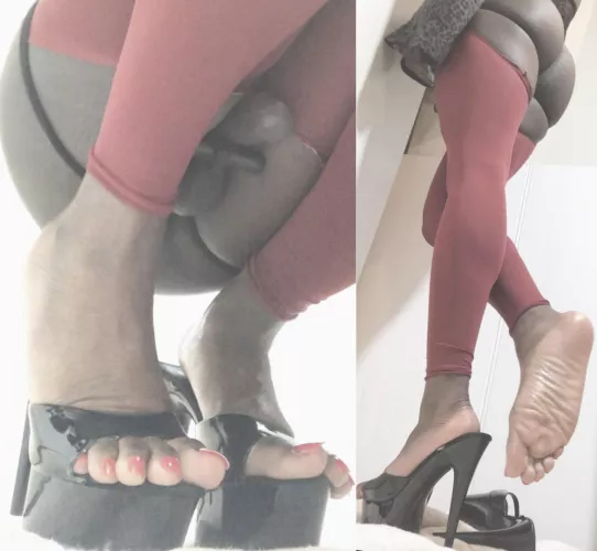 Soles and cock anyone