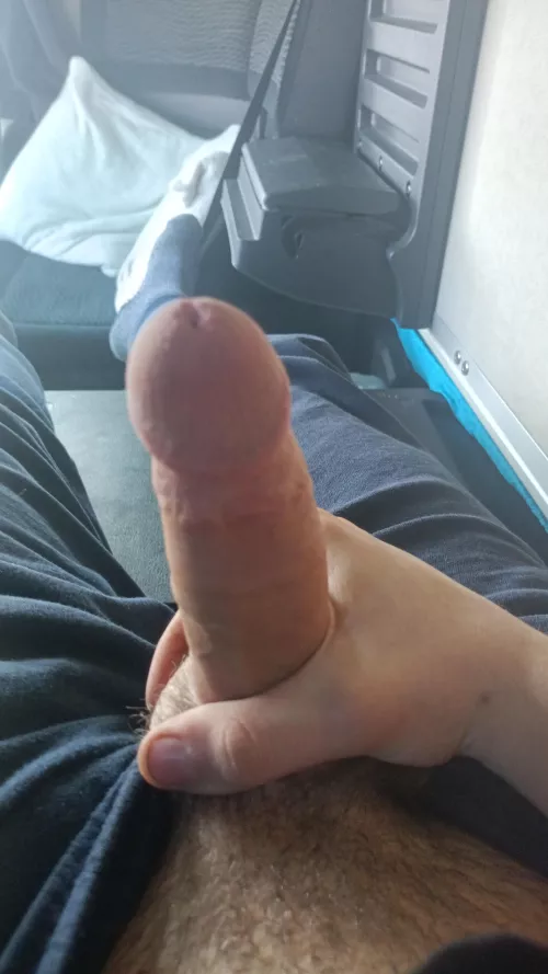 Someone show me Dick?