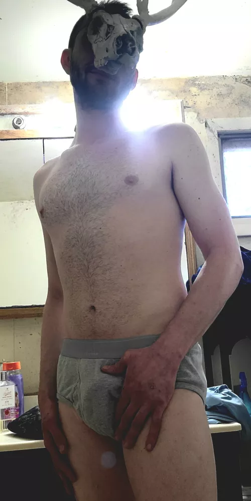 The Deer Tease for the Lovely Does