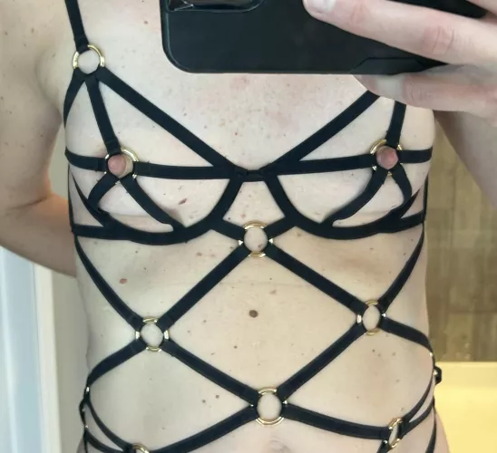 Webbing with metal rings and very hard nipples. 