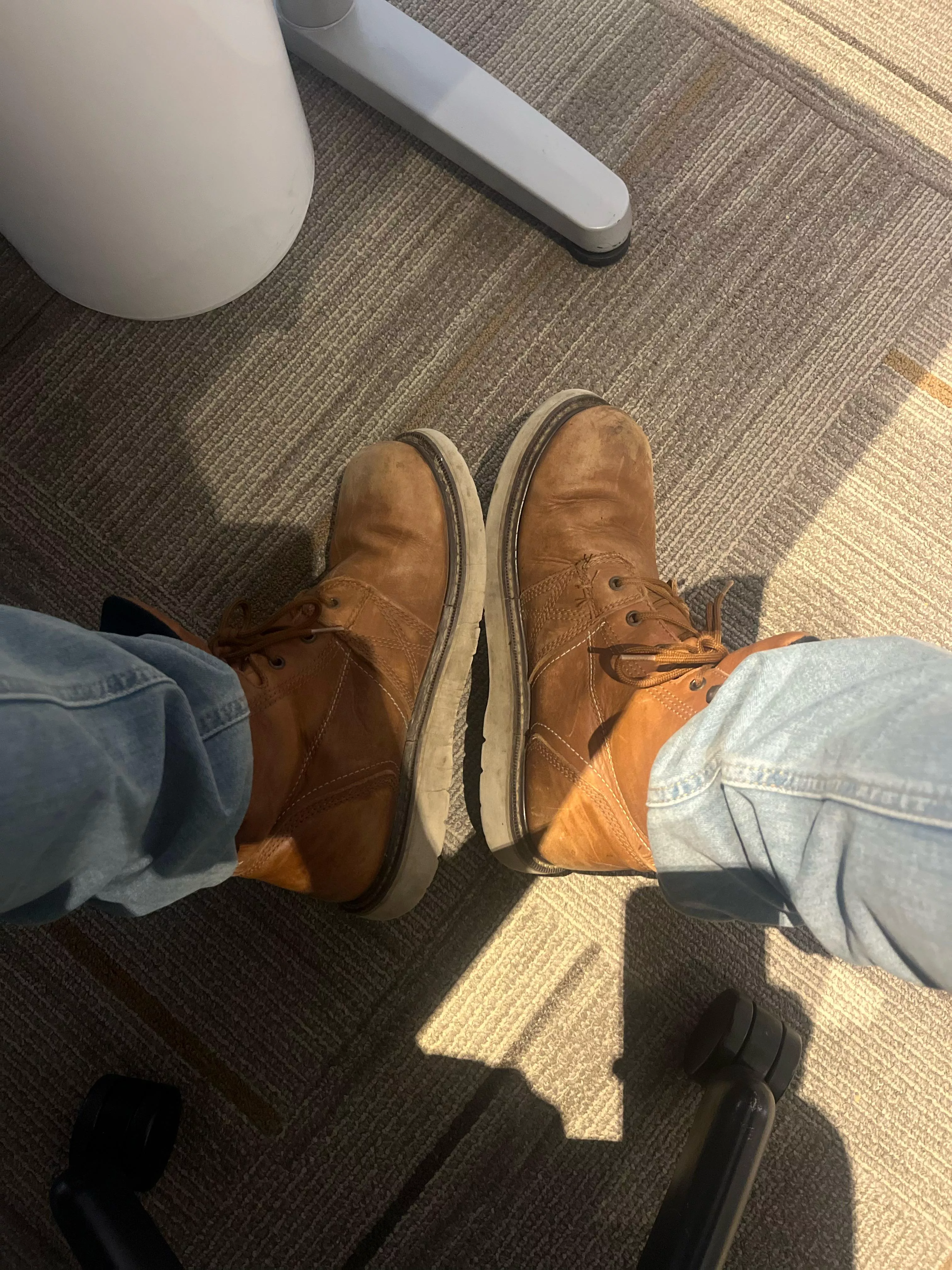 What are y’all’s daily’s?