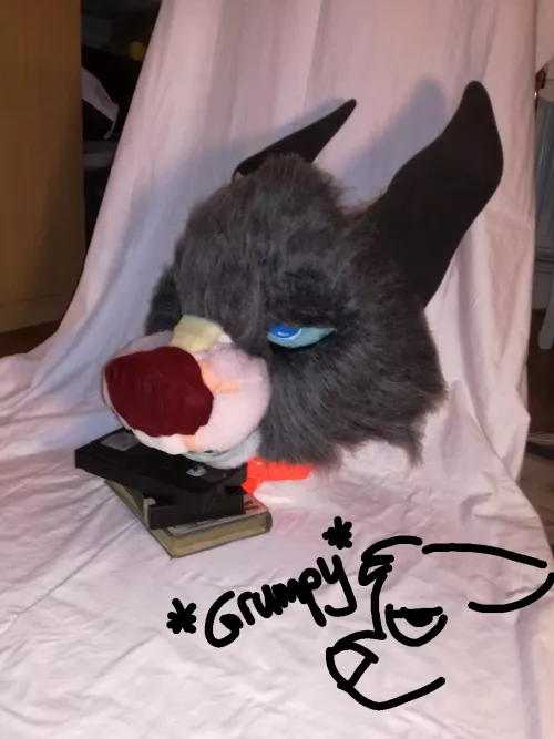 What do I do with this dude??