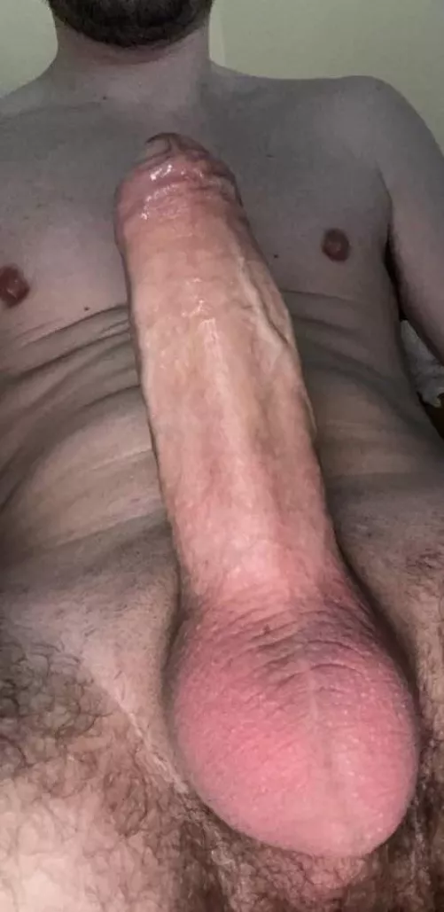 What do you guys think? 