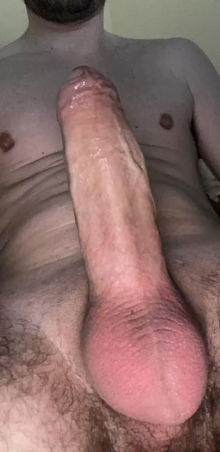 What do you guys think? 