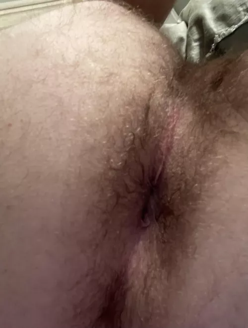 Who wants to see how much this hairy ass can take?