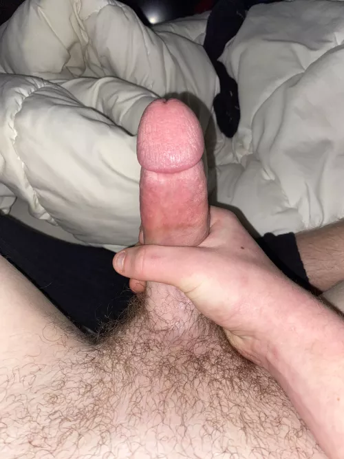 who wants to see me jerk it (DM)