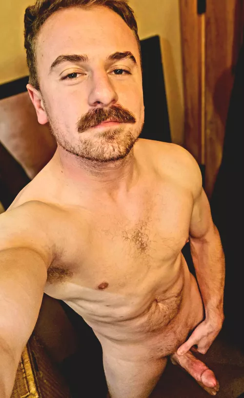 Who's gonna be my fuck-toy?