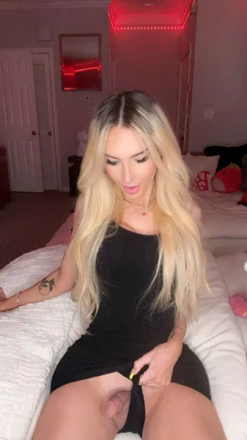 would you let a trans girl like me suck and empty your balls?