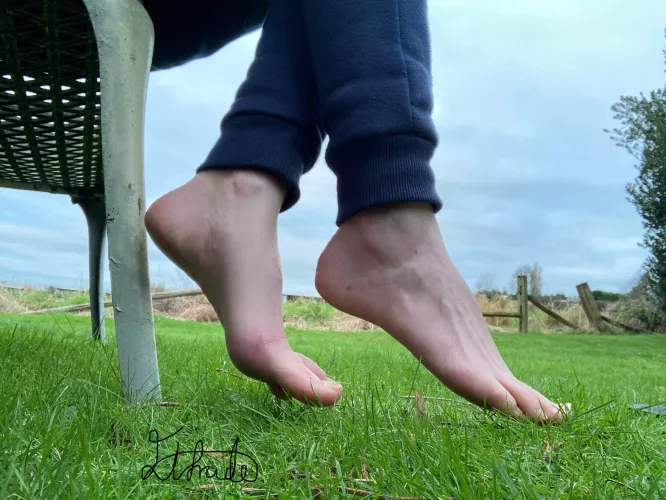 Your view this morning 