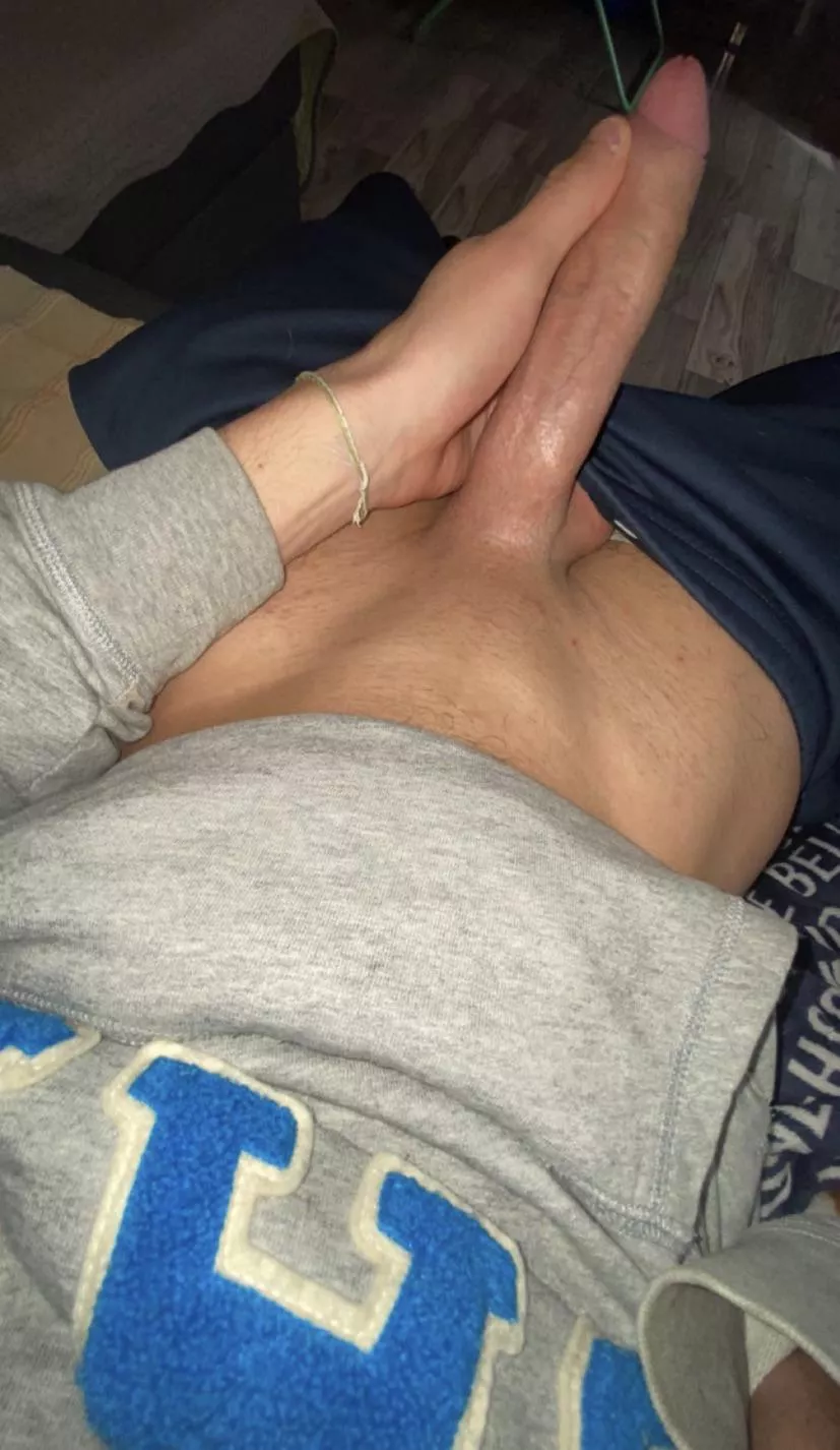 18m sc hung_twink2024