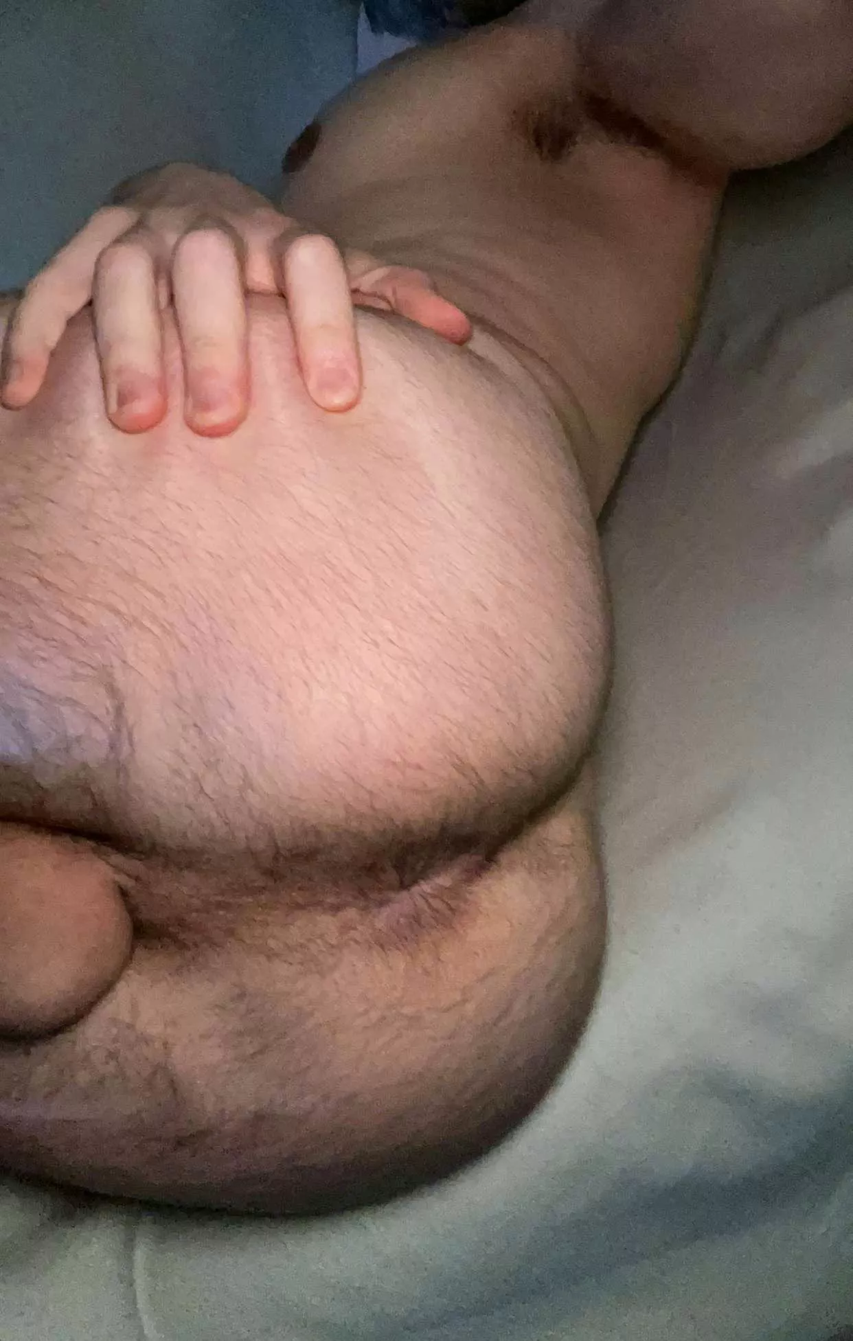 28. Fuzzy boy hole ready for a hung daddy