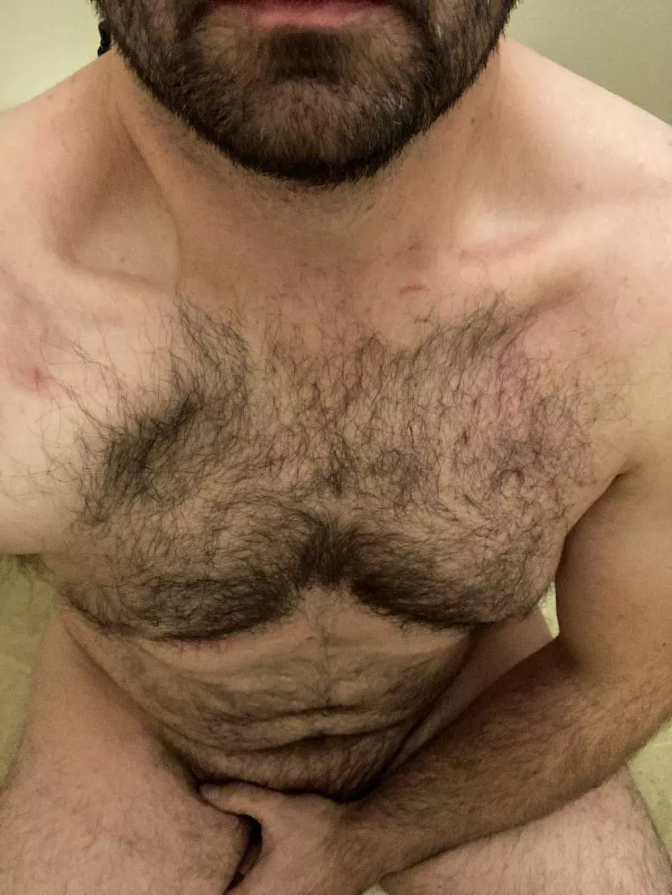 (36) Anyone like a dad with a hairy chest and beard?