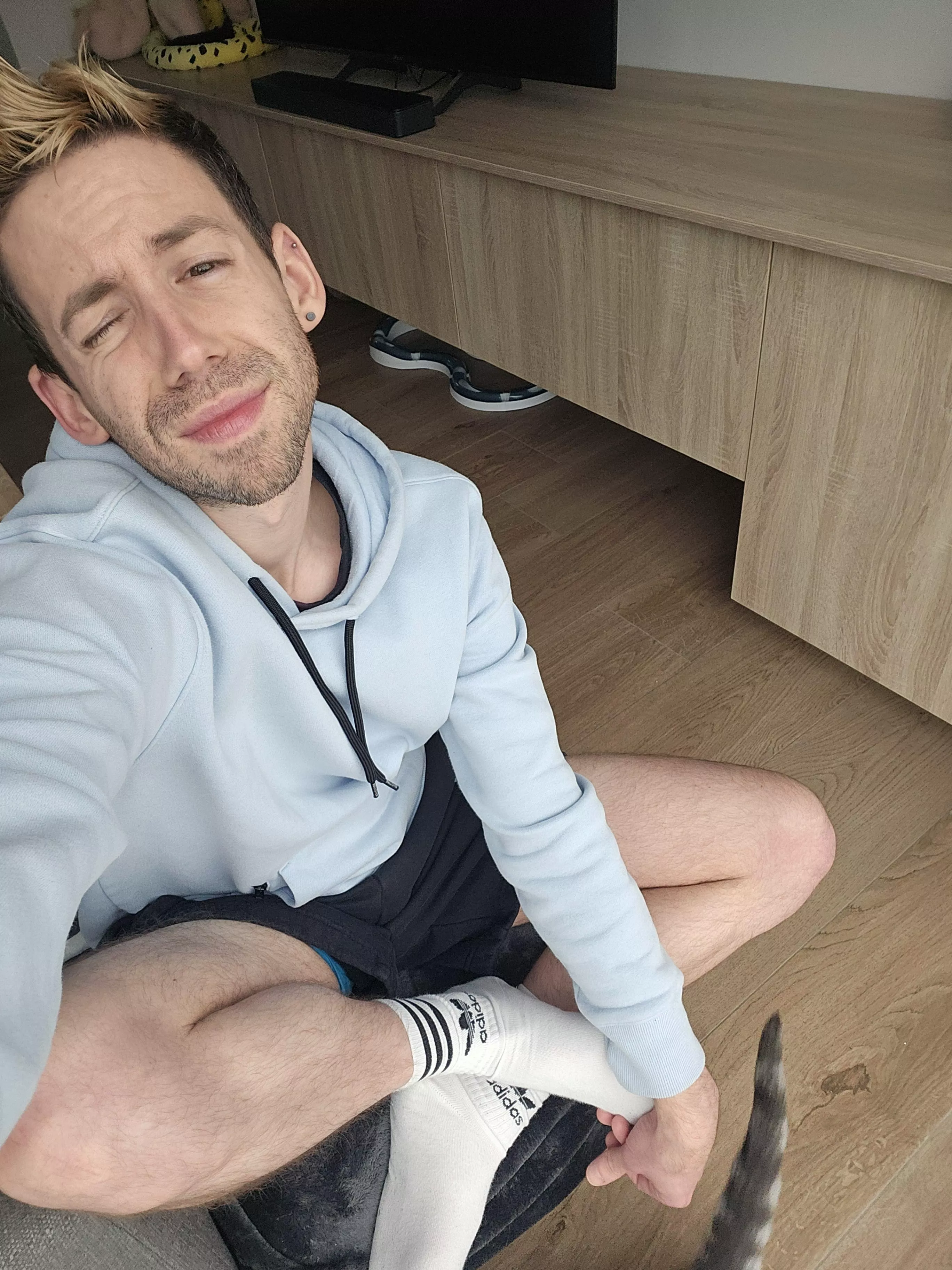 Cat tail photobomb Cat tail photobomb