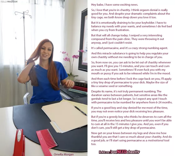 Chastity with permacaine