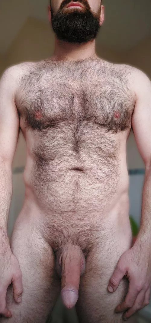 Haven't trimmed my chest in a month now and I'm really enjoying how it looks. Except for the odd grey hair 🤷🏻‍♂️