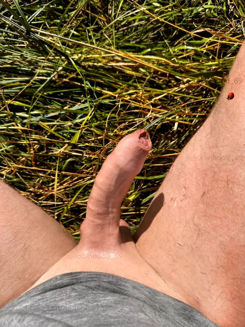 I'm 100%, organic, all natural Daddy dick ....