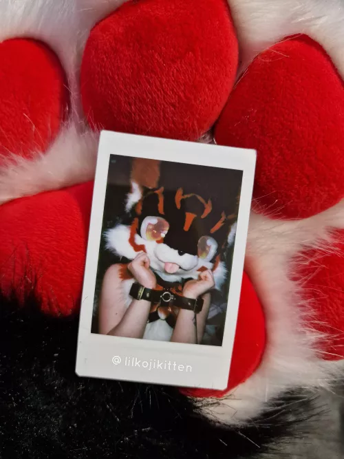 I've been really enjoying taking nude and lewd Polaroids recently ♡